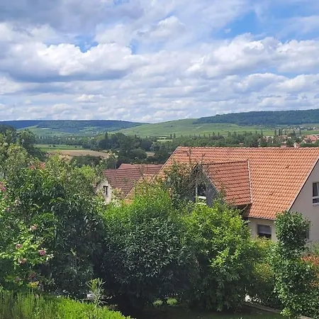 Chez Caroline Et Loic Au Coeur Des Vignes *